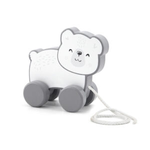 PolarB