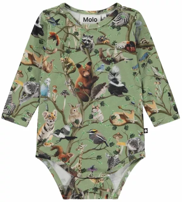 Molo
