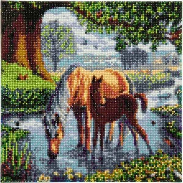 Crystal Art Ponyer 30x30 cm -