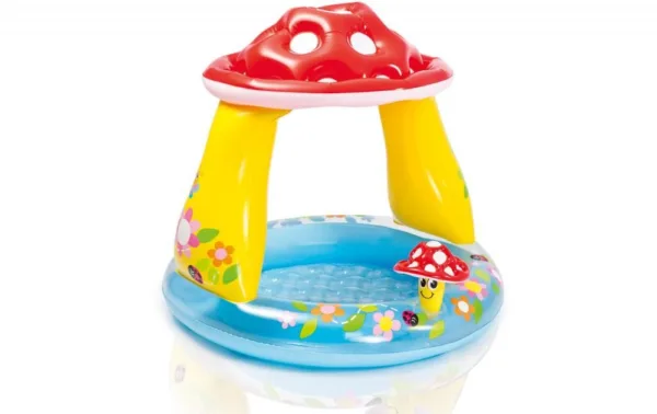 Intex Pool