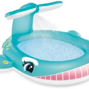Intex Pool