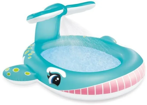 Intex Pool