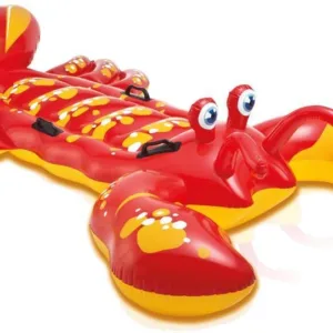 Intex Pool