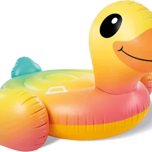 Intex Pool