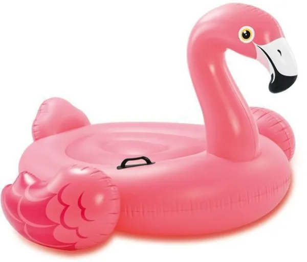 Intex Pool
