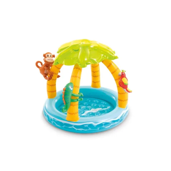 Intex Pool