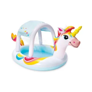 Intex Pool