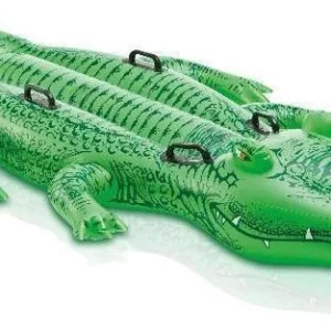 Intex Pool